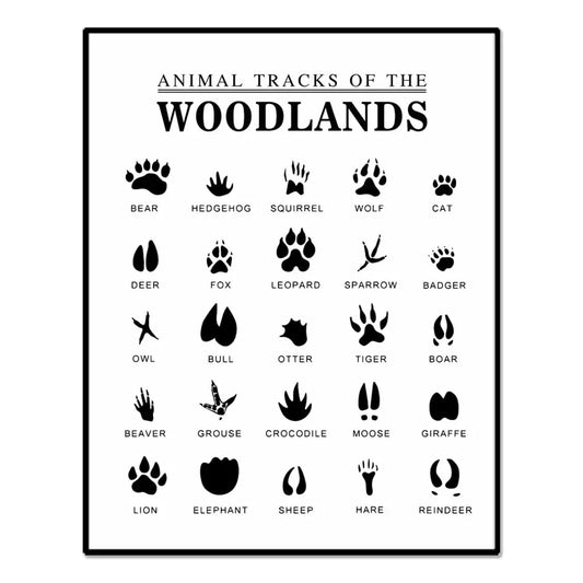 Animal Tracks Print Woodland Animal Prints Outdoor Adventure Kids Art Woodland Nursery Decor Woodland Nursery Woodland Art Print Animal Footprints Unframed (11X14 INCH)